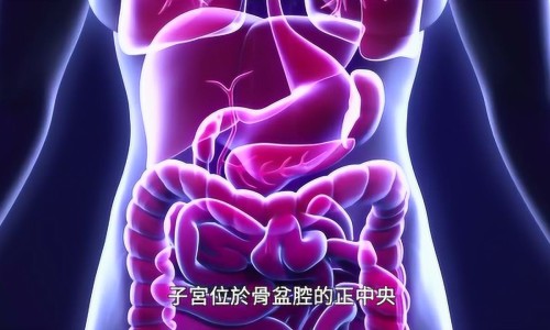中药生化汤网-分享中药生化汤丸的功效与作用，中药生化汤的组成知识库