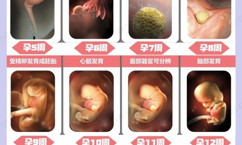 中药生化汤饭前吃还是饭后吃-中药生化汤网-分享中药生化汤丸的功效与作用，中药生化汤的组成知识库
